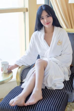 灰姑娘与四名骑士_90集免费观看
